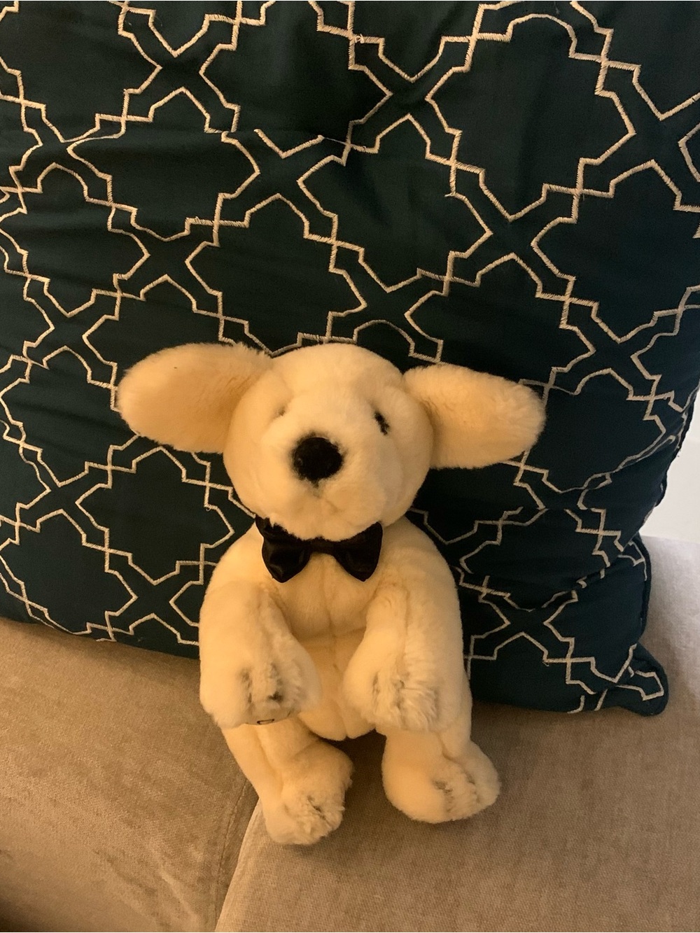 Vintage 2002 Limited Edition! Victoria’s Secret “ Spike” Plush Puppy